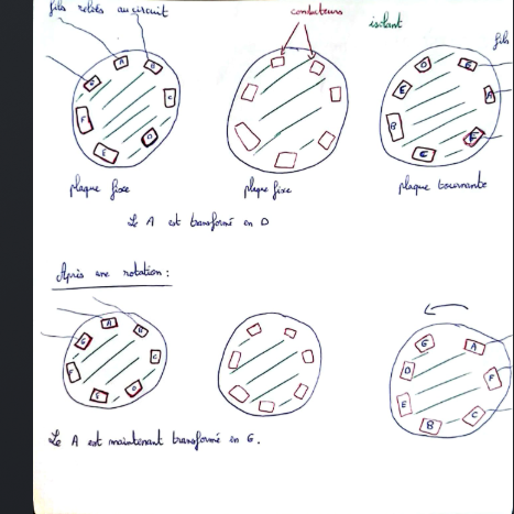 Branchements rotors